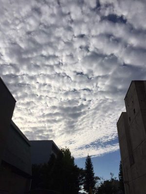 FB_IMG_1476102264934