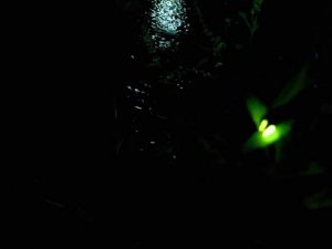 FB_IMG_1496672672126