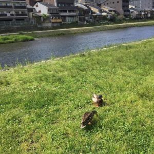 FB_IMG_1526818774829