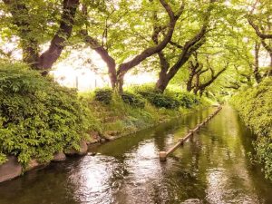 FB_IMG_1526272041386