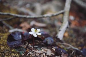 FB_IMG_1555936377081