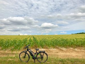 received_575659494167101